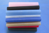 永州涤纶（PET）无纺布是什么