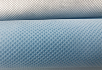 永州(PP)丙纶无纺布跟(PET)涤纶无纺布的区别